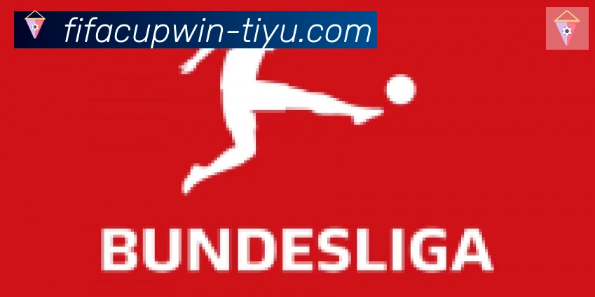 FIFA世界杯买球入口合作伙伴